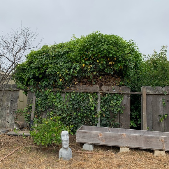 Welcome ❤️ Bookmark My Closet - Picture 12 of 16